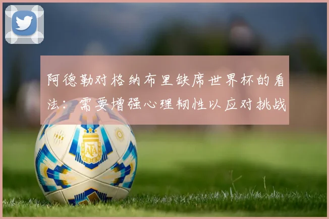 阿德勒对格纳布里缺席世界杯的看法：需要增强心理韧性以应对挑战